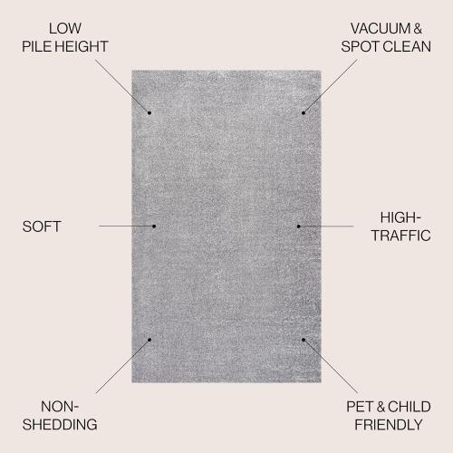 Large grey area rug