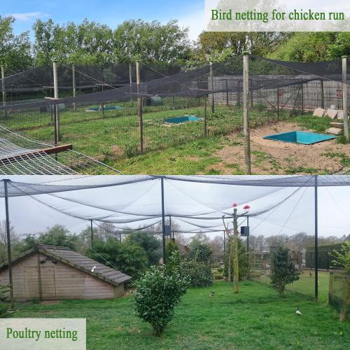 Bird Netting for Chicken Coop 50x100 Ft, 1 Mesh, Strong Woven Poultry Netting Roof Cover for Chicken Run, Heavy Duty Bird Net for Fruit Trees, Blueberry, Vegetables, Garden Protection