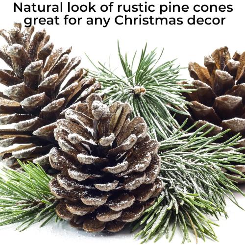 10 Pieces Large Christmas Pine Cones Decorations Picks - Frosted Snow Pine Cones for Christmas Tree, Garland Wreath Ornaments Home Decorating Pinecones Winter Holidays