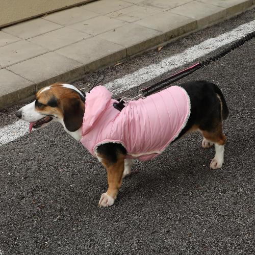 Fleece Lining Dog Hoodie with Harness Built in,Extra Warm Small Dog Jacket in Winter Puppy Coats with Drawstring Hooded,Light Pink XS