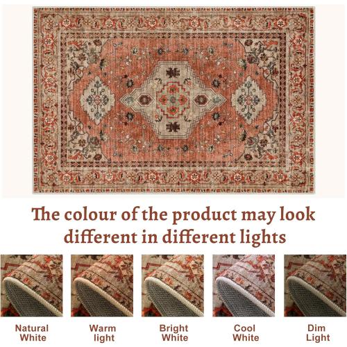 Tangsoo Boho Rug Washable Area Rugs for Living Room, Oriental Vintage Indoor Non Slip Large Area Rug, Print Terracotta Carpet, Soft Low Pile Rug Foldable Floor Rugs for Bedroom Dining Room Dorm
