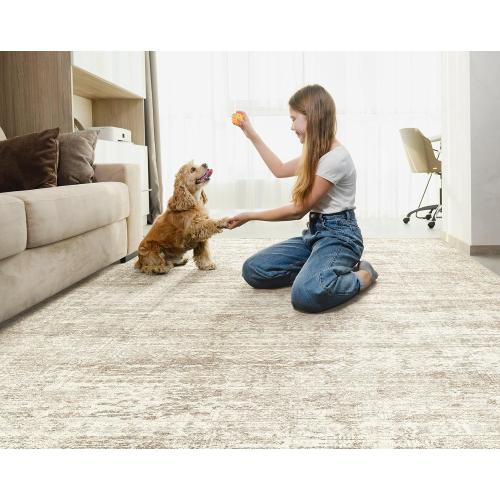 Large Area Rug Living Room Rugs - Washable Neutral Modern Abstract Soft Thin Rug Indoor Floor No Slip Rug Carpet for Bedroom Under Dining Table Home Office Decor - Beige/Brown