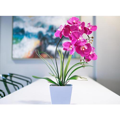 HOMESEASONS Orchid Lamp-LED Lighted Orchid Arrangements,Pre Lit Artificial Orchid,Light Up Flower Lights, Faux Orchid Phalaenopsis Arrangement (Purple)