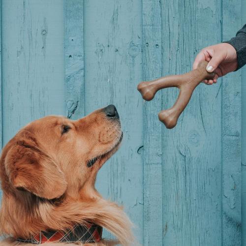 Lumabone Real Bacon Medium 3-Pack Durable Dog Chew Toys for Aggressive Chewers, Made in USA – Wishbone, Zaggler, Stick