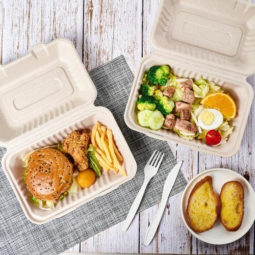 ECOLipak 75 Pack Clamshell Take Out Food Containers, 100% Compostable To Go Containers Disposable, 9X6 inch Heavy-Duty To Go Boxes, Eco-Friendly Biodegradable To Go Containers For Food