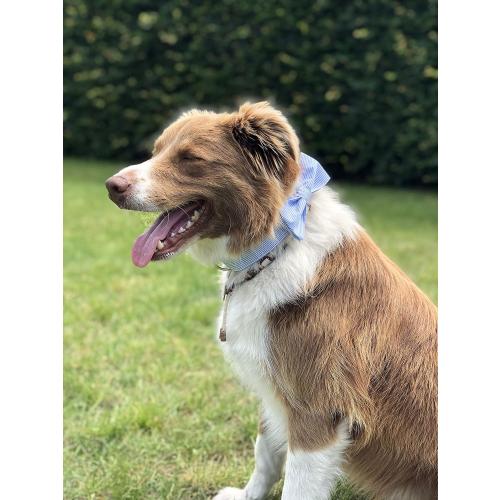 Unique Style Paws Pet Soft &Comfy Bowtie Dog Collar and Cat Collar Pet Gift for Dogs and Cats 6 Size and 7 Patterns