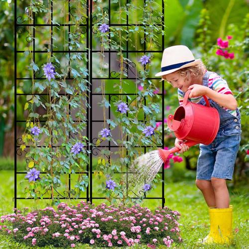 LZRS 2 Pack 83x20in Rustic Iron Arch Decoration Garden Trellis with Black Metal Coating – Perfect for Supporting Climbing Plants Outdoor, Roses, Vines, Flowers, and Vegetables.