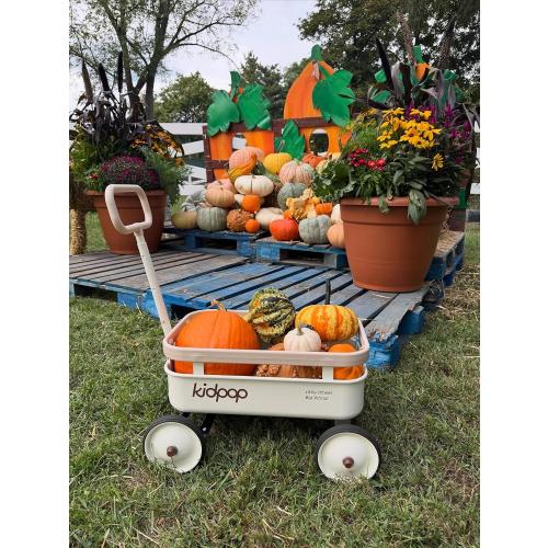 kidpop PULA-Wild 3-in-1 Kids' Pull-Along Wagon Toddlers Push Walker for 2.5-8, Removable Wooden Cover and Adjustable Handlebar, Birthday Gifts Max Weight 33 lbs (White)