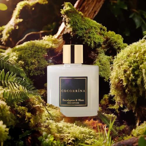 Cocorrína Reed Diffuser Sets- Eucalyptus & Moss Scented Diffuser with Sticks Home Fragrance Reed Diffuser for Bathroom Shelf Decor