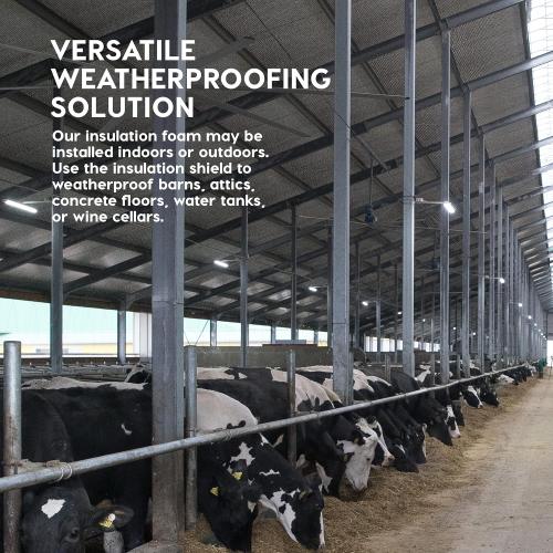 EconoHome Reflective Insulation - 16in x 10ft, 3mm Foam Core, Aluminum Heat Shield - Light Reflective Insulation for Weatherproofing, Condensation, Sound