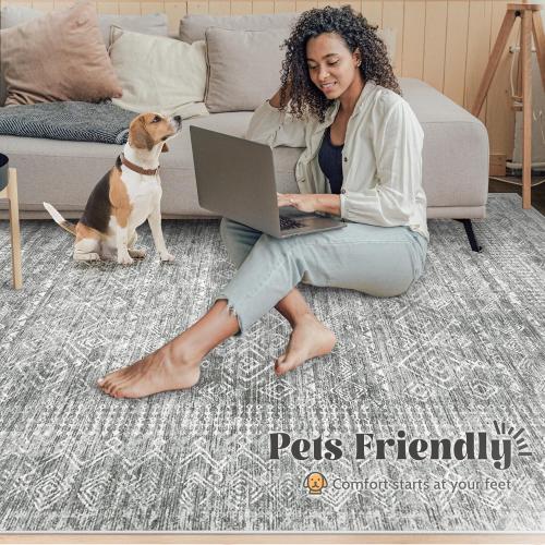 Washable Area Rug 2x3: Moroccan Entryway Rug Geometric Farmhouse Boho Throw Rug Non Slip Low Pile Soft Indoor Doormat for Entrance Bedroom Kitchen Hallway (Grey,2x3)