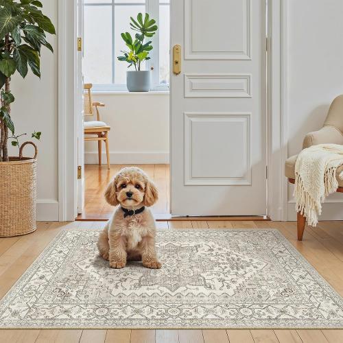 Madane Washable Area Rug 2x3 Small Entryway Rugs Non-Slip, Beige/Brown