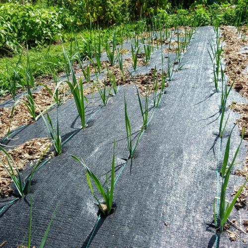 Landscape Fabric 4ft X 30ft Weed Barrier Landscape Fabric Heavy Duty Premium 3.2oz Garden Fabric Weed Barrier Weed Block Gardening Mat,Woven Geotextile Fabric Ground Cover Weed Barrier