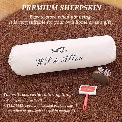 WL&ALLEN Sheepskin Rug - Genuine Thick & Lush Pile, Luxury Australian Pelts | Large Single  Ivory White