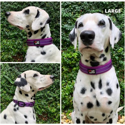 Tuff Pupper Ultra Comfort Padded Dog Collar | Thick Neoprene Padding | Ballistic Nylon Strap Dog Collar with Reflective Stitching | Durable Metal Buckle & Integrated ID Tag Holder | Waterproof Collars MEDIUM