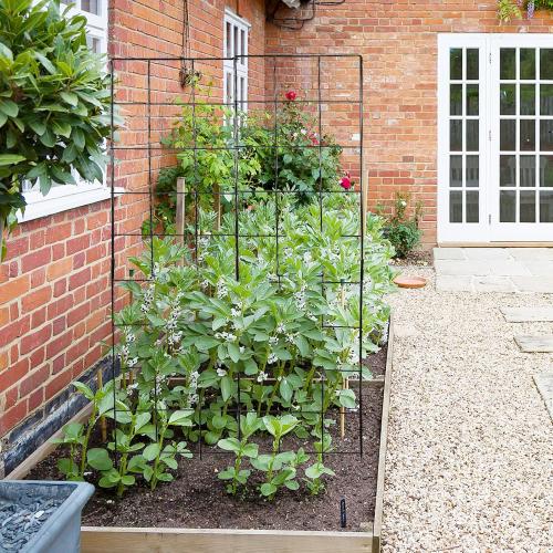 59 H x 31 L Foldable Cucumber Trellis for Climbing Plants,Two Panel Frame Garden Trellis,Raised Bed Vegetables Trellis for Bean,Peas,Grape,Cucumber,Fruit,Flower