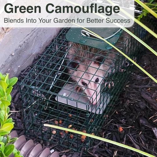 HOMESTEAD Heavy Duty Live Trap - Professional Style One-Door Live Animal Traps for Rabbit, Squirrel, Possum, Skunk, Kitten, Mink Small