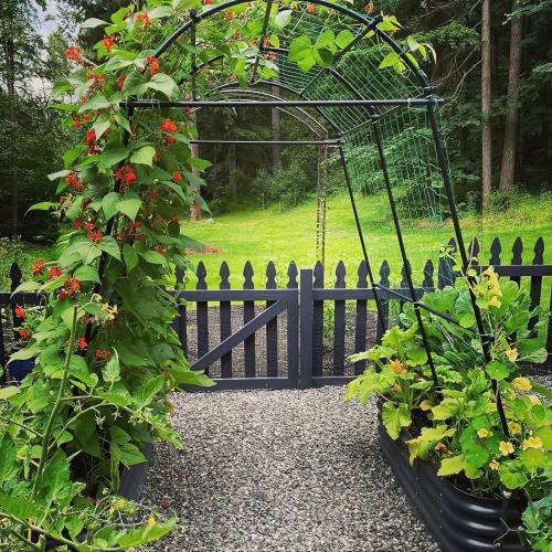 Garden Arch Trellis 7FT Extra Tall Polyethylene-Coated Stainless Steel Garden Trellis for Climbing Plants Outdoor Garden Trellis Arch for Cucumber Trellis | Gardening Trellis with Clips (Black)