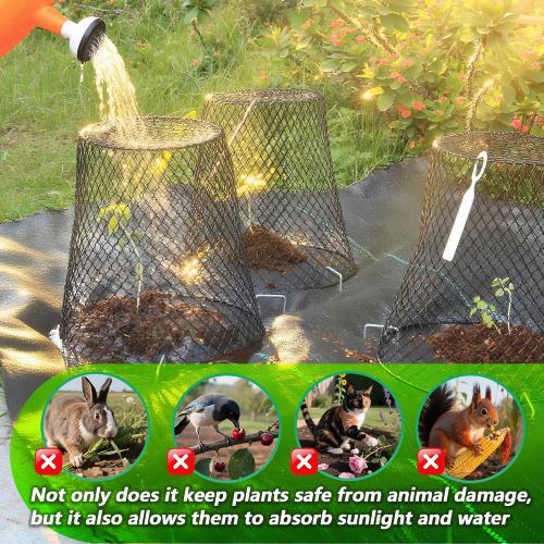 Anothera 10Pcs Chicken Wire Cloche Plant Covers, 9.2×9.2 Inches Plant Protectors from Animals, Metal Garden Plant Cages for Outdoor Plants, Keep Rabbits, Squirrels, Birds Out