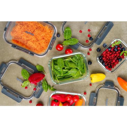 Zyliss Glass Container, Shatterproof Glass, Airtight Food Storage Box with Sealable Lid, Microwave Safe, BPA Free Lid, Freezer Safe, Fridge Storage, Food Container, 6.3in x 4.7in x 2, 12.5oz