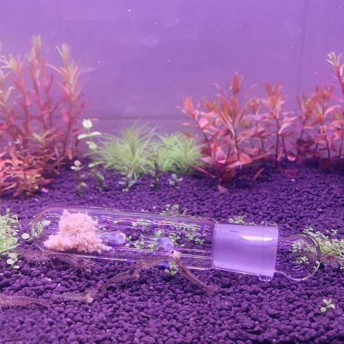 2 Pack 3 Holes Planaria Trap for Aquarium Bristle Worm Catcher Worm Trap for Fish Tank Leeches Catcher for Cherry Shrimp Tank