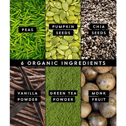 Truvani Vegan Pea Protein Powder | Matcha | 20g Organic Plant Based Protein | 1 Serving | Keto | Gluten & Dairy Free | Low Carb | No Added Sugar