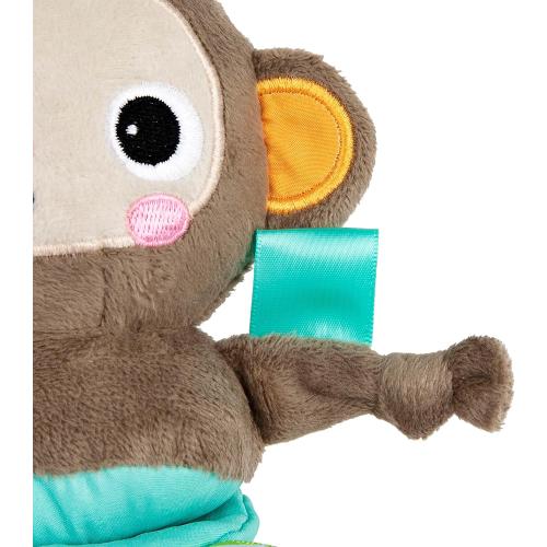 Bright Starts Pull, Play & Boogie Musical Activity Toy for Stroller - Monkey - Unisex, Newborn