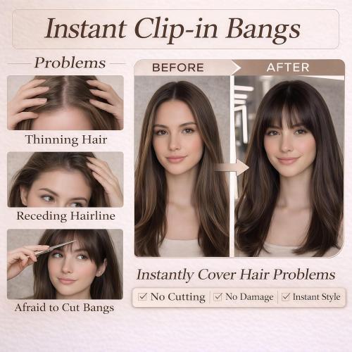 Clip in Bangs Real Human Hair French Bangs with Temples