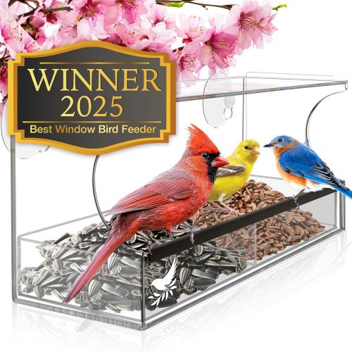 Window Bird Feeder by Nature's Hangout - Award-Winning Transparent Acrylic Bird Feeders for Outdoors, No Assembly, Strongest Suction Cups, Birds Watching for Cats, Easy-to-Clean Birdhouse Feeder