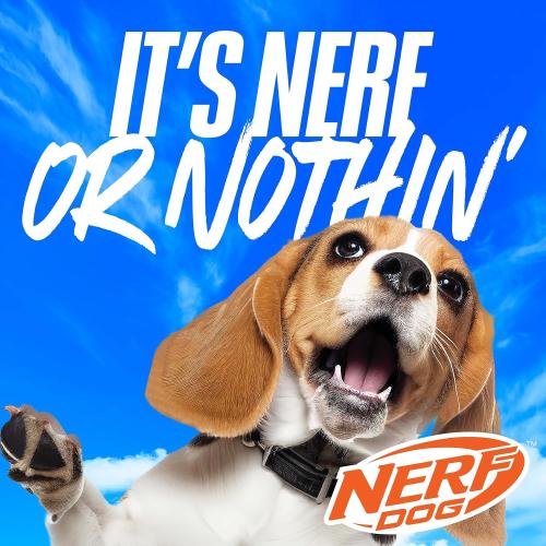 Missing Ball....Nerf Dog Tennis Ball Blaster Dog Toy Blue/Orange, 16 Inch Compact Blaster with