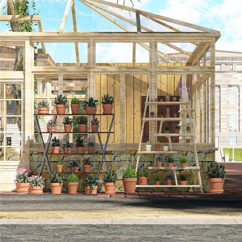 Fcacti 10 Inch Terracotta Shallow Succulent Pot - 2 Pack Large Terra Cotta Clay Pots with Drainage, Round Shallow Terra-Cotta Bonsai Pot for Indoor/Outdoor Plants