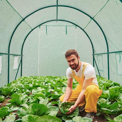 10×7×7 FT Greenhouses for Outdoors Heavy Duty, Large Walk in Green Houses for Outside with 6 Ventilated Mesh Windows & Roll-up Door & Reinforced Frame