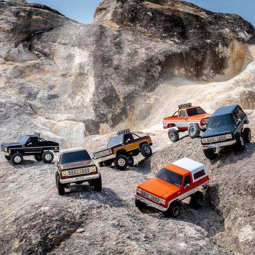 BEEZRC FMS 1/24 RC Crawler Officially Licensed Chevy K5 Blazer RC Car FCX24 RTR RC Pickup Truck SUV 4WD 2.4GHz Hobby RC Model 8km/h Mini car RC Off-Road Remote Control Car (Black)