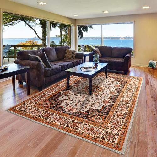 Area Rug for Bedroom, Orange Washable Living Room Rugs, 4x6Ft Non-Slip Modern Carpet for Dining Room Farmhouse Dorm Office Entryway Hallway