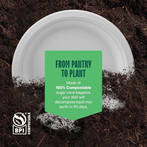 Stack Man 100% Compostable Small Paper Plates 7 Inch Heavy-Duty [125-Pack] Eco-Friendly White Bagasse Disposable Dessert Cake Plates - 7 Biodegradable Plate (BPI-Certified) (PFAS-Free)