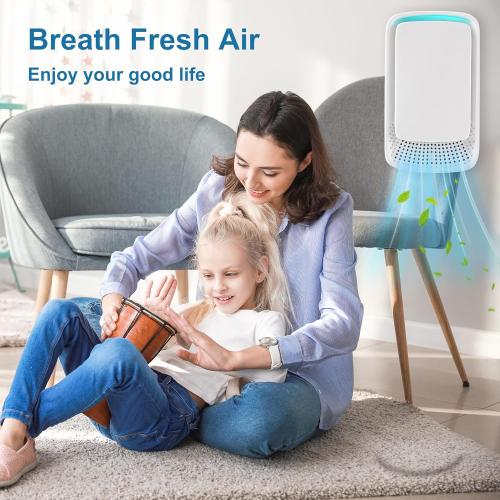 Set of 4 Negative Ion Plug in Air Purifier,Ionic Air Purifiers for Home, Bedroom, Office, Mini Portable Air ionizers for Home Plug in (4PCS)