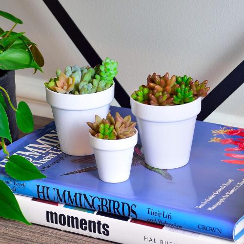 White 2 Pack of 24 Youngever 24 Pack 2 Inch Mini Plastic Planters, Indoor Flower Plant Pots, White Gardening Pot with Drainage - NO Plant Included