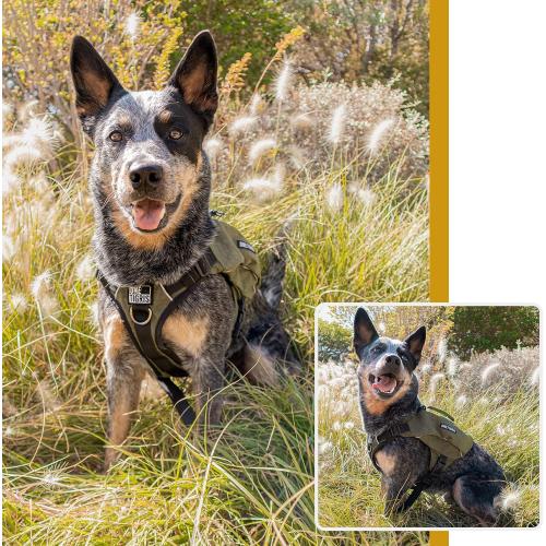 OneTigris Y-Shaped Dog Backpack with Handle, Pockets & No Pull D-Rings, Lightweight Hiking Gear for Dogs Hunting Camping Travel (Large, Green)