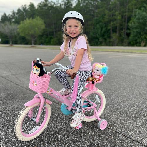 JOYSTAR 12 14 16 Inch Kids Bike with Training Wheels Girls Bike with Doll Seat Basket & Streamers Kids Bicycle for Girls 2-7 Years Toddler Girl Bikes