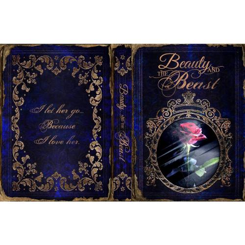 Fake Book Box - Small Safe Box with Combination Lock - Hidden Safe in Plain Sight - Diversion Safes - Secret Safes (Beauty Beast) (Large)