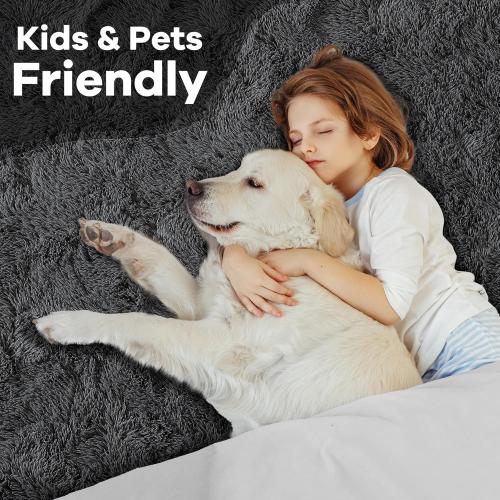 Noahas Door Mat Indoor Entrance,2x3 Shaggy Small Dark Grey Area Rugs for Entryway,Non-Slip Fluffy Entry Bedroom Rug,Soft Plush Bedside Throw Kids Carpet
