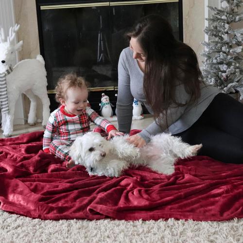 Flannel Fleece Luxury Blanket Red Queen(90x90) Size Lightweight Cozy Plush Microfiber Solid Blanket by Bedsure