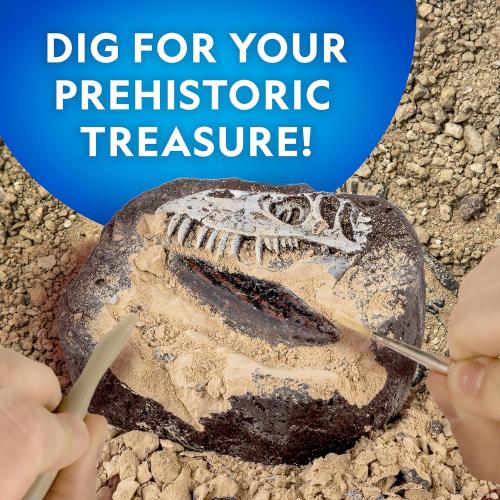 NATIONAL GEOGRAPHIC Dino Fossil Dig Kit & Dinosaur Book for Kids- Excavate a Replica Dinosaur Tooth Fossil and Study Paleontology with a Full-Color Dinosaur Activity Book for Kids (Amazon Exclusive)