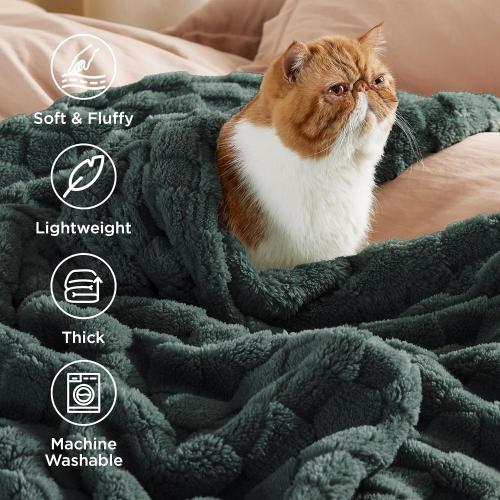 Bedsure GentleSoft Blankets  for Bed - Super Soft Cozy Spring Blanket for Kids Girls, Large Fuzzy Fleece Throw for Bedroom Decor, Dark Green,