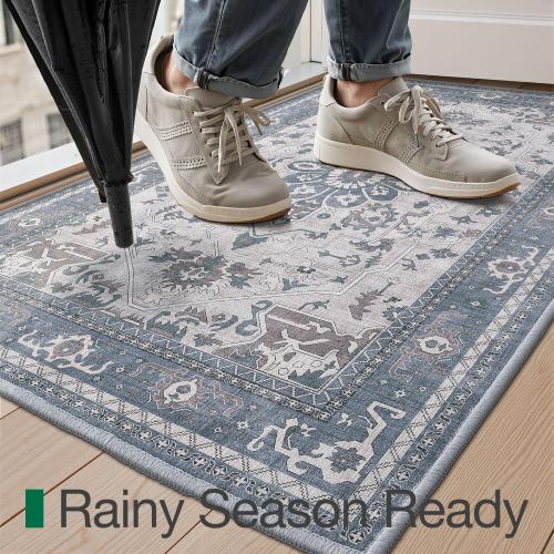LUMI Retro Thin Door Mat, 18x30 Washable Indoor Doormat, Non Slip Absorbent Entrance Rug, Welcome Mats Entryway Rug Doormats for Front Door Kitchen Patio, Mist Blue