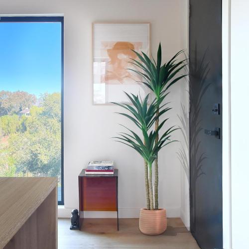 Hyper Realistic Dracaena 5ft Tall - Real Touch & VU Protected Faux Yucca Floor Plant in Pot- Artificial Agave Plant Fake Tree with Black Planter Indoor Outdoor Patio Decor