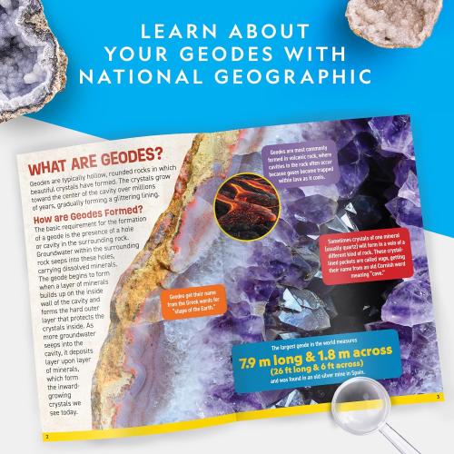 National Geographic Break Open 5 Jumbo Geodes - Earth Science Kit with 5 Premium, Extra-Large Geodes with Crystals, Goggles & Display Stands, Science Gifts, Fun Stuff for Kids (Amazon Exclusive)