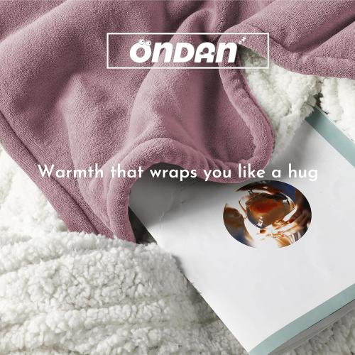 Electric Heated Blanket 90x100 King Size Microplush Cover Blanket, 4 Heat Settings & 10 Hours Auto Off, Cozy & Warm for All Night, Machine Washable, Berry