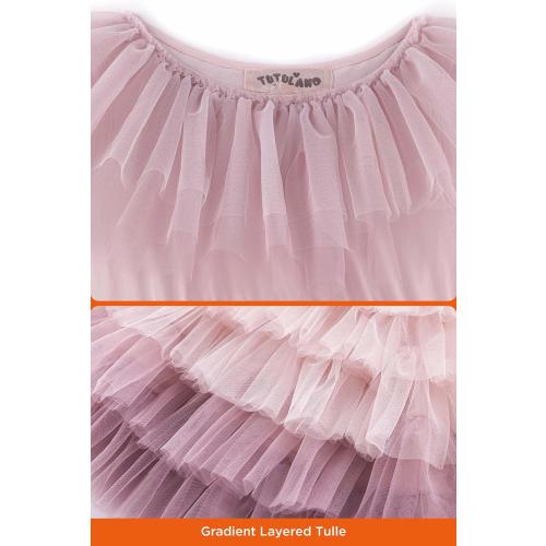 Pink Tutu Dress for Girls - Embroidered Tulle Tiered Layered Flower Toddler Dress for Wedding & Birthday