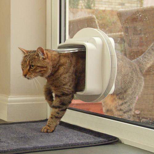 SureFlap DualScan Microchip Cat Door - Door Opening is 4 3/4 H x 5 5/8 W